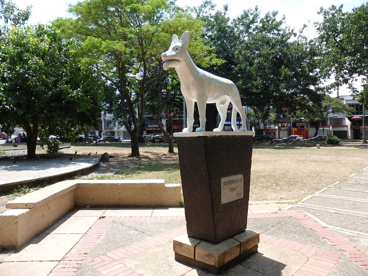 San Fernando (Parque del Perro) – Area photo